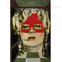 Sale Boutiques de musées Livre-jeu Quel drôle de génie ce Dalí ! - Salut l'artiste