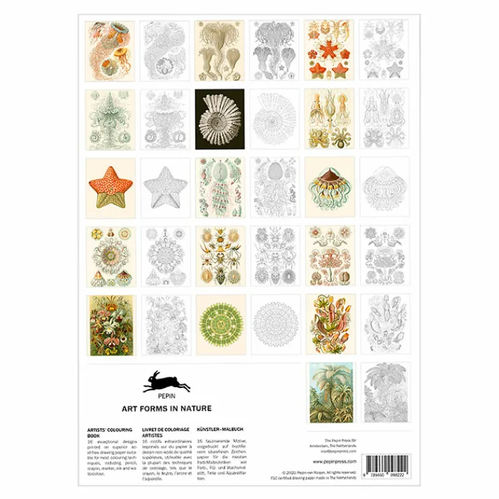 Boutiques de musées Livret de coloriage pour enfants et adultes Art de la nature Haeckel - The Pepin Press