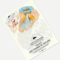 Boutiques de musées Livret de coloriage pour enfants et adultes Art de la nature Haeckel - The Pepin Press
