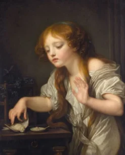 Boutiques de musées Toiles Sur Châssis|Toiles Encadrées-L'Oiseau mort (toiles sur châssis)