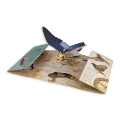 Boutiques de musées Livres Jeunesse-Léonard de Vinci - Robots