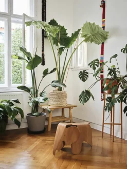 Clearance Boutiques de musées Éléphant Eames Petit modèle - Jaune