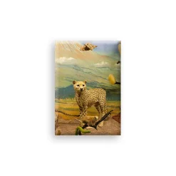 Boutiques de musées Magnets-Magnet - Diorama du Kilimandjaro