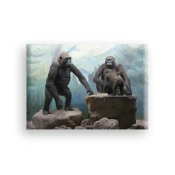 Boutiques de musées Magnets-Magnet - Diorama gorilles