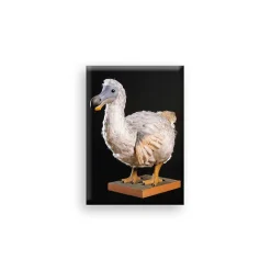 Boutiques de musées Magnets-Magnet - Dodo