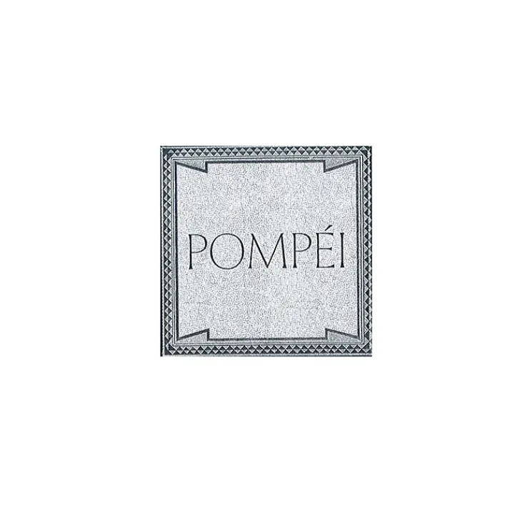 Boutiques de musées Magnet Pompéi