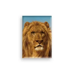 Outlet Boutiques de musées Magnet Rosa Bonheur - El Cid, Tête de Lion