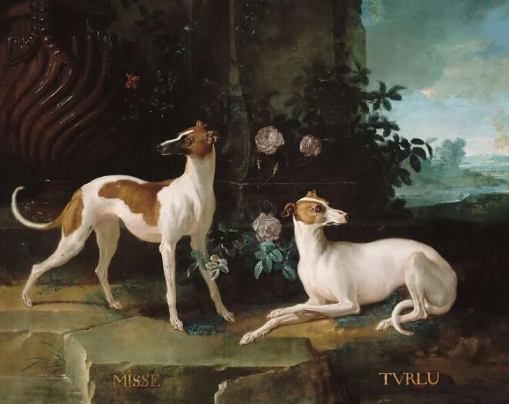 Boutiques de musées Toiles Encadrées|Toiles Sur Châssis-Misse et Turlu (toiles encadrées)