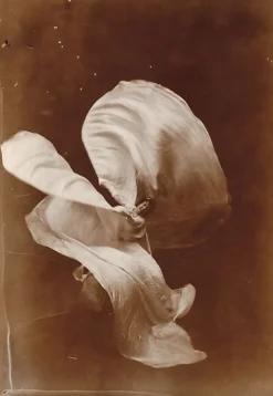 Boutiques de musées Panneaux Aluminium|Toiles Encadrées-Mlle Loïe Fuller (panneaux aluminium)