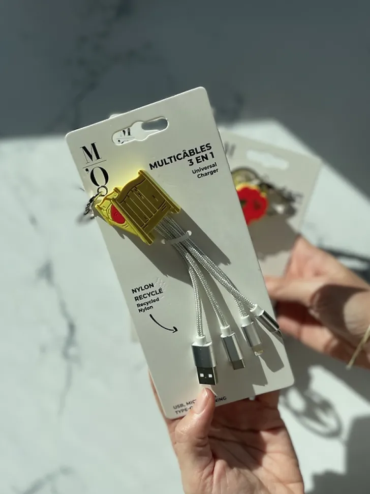 Boutiques de musées High-Tech-Multicâbles 3 en 1 Vincent van Gogh - Lit / La chambre de Van Gogh à Arles