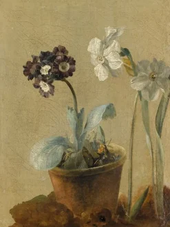 Online Boutiques de musées Nature morte de narcisses et d'oreilles-d'ours (panneaux acryliques)