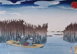 Boutiques de musées Panneaux Aluminium|Affiches D'Art Encadrées-Parc aux algues (panneaux aluminium)