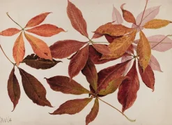 Outlet Boutiques de musées Pavia (marronnier) (panneaux aluminium)