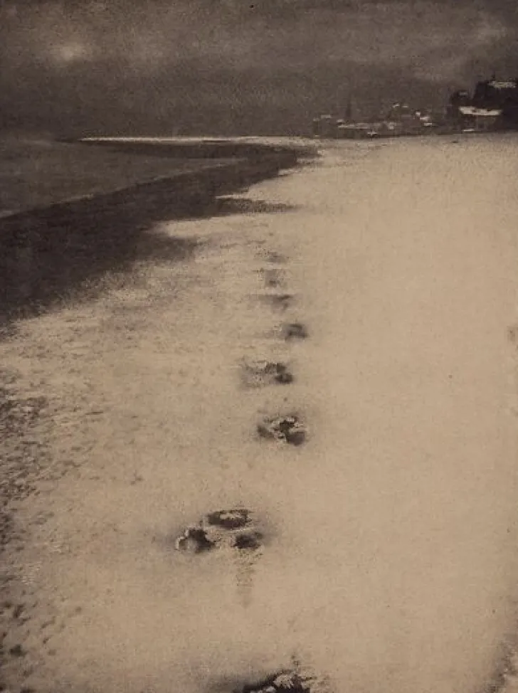 Boutiques de musées Panneaux Aluminium|Panneaux Acryliques-Paysage (panneaux aluminium)