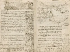 Online Boutiques de musées Phénomènes tourbillonnaires et ondulatoires, schéma d'interférences d'ondes circulaires (panneaux aluminium)