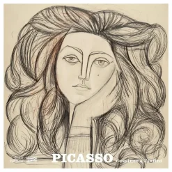 Online Boutiques de musées Picasso - Dessiner à l'infini - Album de l'exposition
