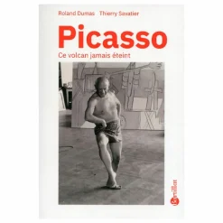 Boutiques de musées Littérature & Essais-Picasso Ce volcan jamais éteint
