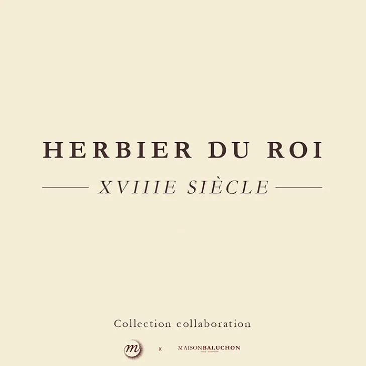 Outlet Boutiques de musées Pochette bleue Herbier du roi - Maison Baluchon