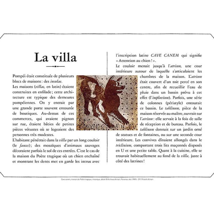Clearance Boutiques de musées Pompéi - Cahier de dessin animé
