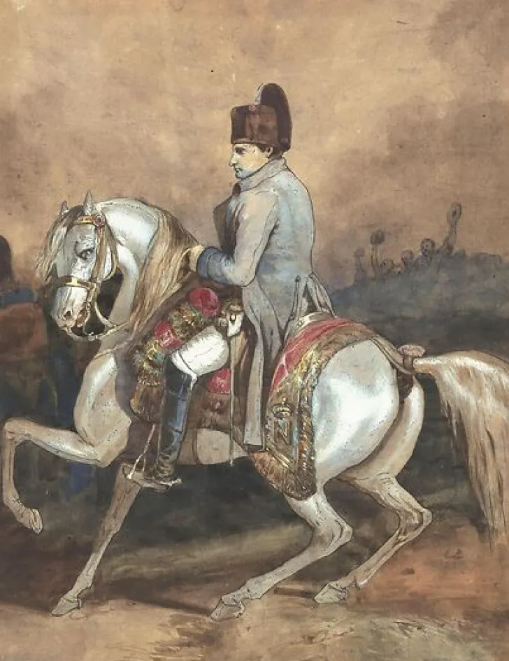 Online Boutiques de musées Portrait équestre de Napoléon (panneaux acryliques)