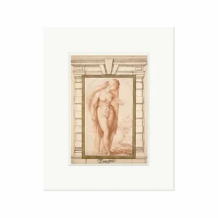 Boutiques de musées Affiches Et Reproductions-Reproduction sous Marie-Louise Francesco De' Rossi, dit Salviati - Nu féminin voilé