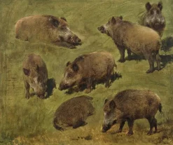 Boutiques de musées Toiles Sans Cadre|Affiches D'Art Encadrées-Sangliers couchés et debout, 7 esquisses (toiles sans cadre)