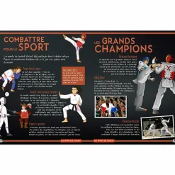 Boutiques de musées Si l'histoire des sports m'était contée