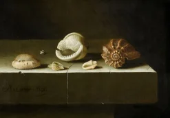 Best Boutiques de musées Six coquillages sur une table de pierre (toiles sans cadre)
