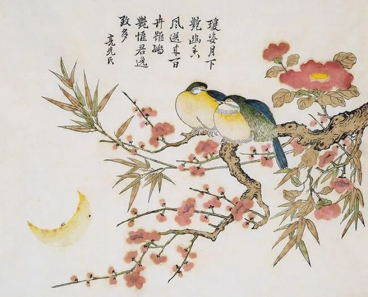 Clearance Boutiques de musées Série dite de Kaempfer : Bambou et camélias roses (toiles encadrées)