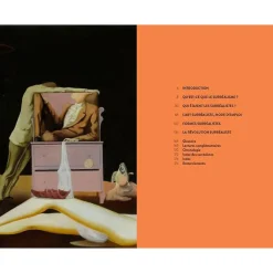 New Boutiques de musées Surréalisme