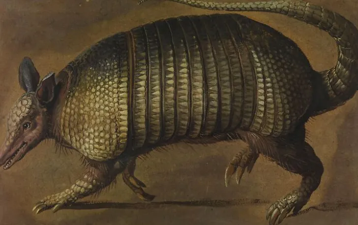 Hot Boutiques de musées Tatou marchant (panneaux acryliques)