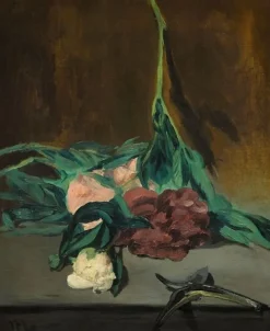 Outlet Boutiques de musées Tige de pivoines et sécateur (affiches d'art)