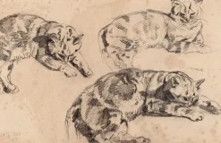 Clearance Boutiques de musées Trois études de chats allongés, la tête vers la droite (panneaux aluminium)