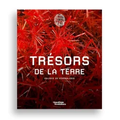 New Boutiques de musées Trésors de la Terre