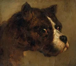 Hot Boutiques de musées Tête de Bouledogue (panneaux aluminium)