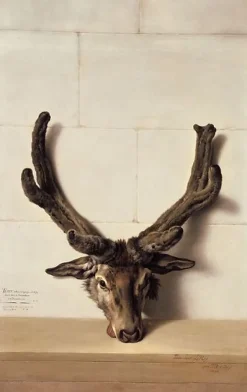 Boutiques de musées Panneaux Aluminium|Panneaux Acryliques-Tête de cerf bizarre sur un mur de pierre, signé et daté en bas à droite (panneaux aluminium)