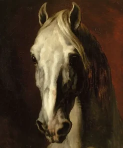 Boutiques de musées Panneaux Aluminium|Panneaux Acryliques-Tête de cheval blanc (panneaux aluminium)