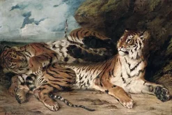 Boutiques de musées Étude de deux tigres, dit aussi Jeune tigre jouant avec sa mère (toiles encadrées)