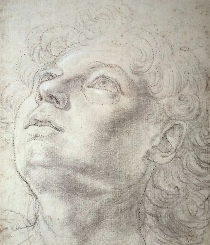 Best Boutiques de musées Étude de tête (toiles sur châssis)