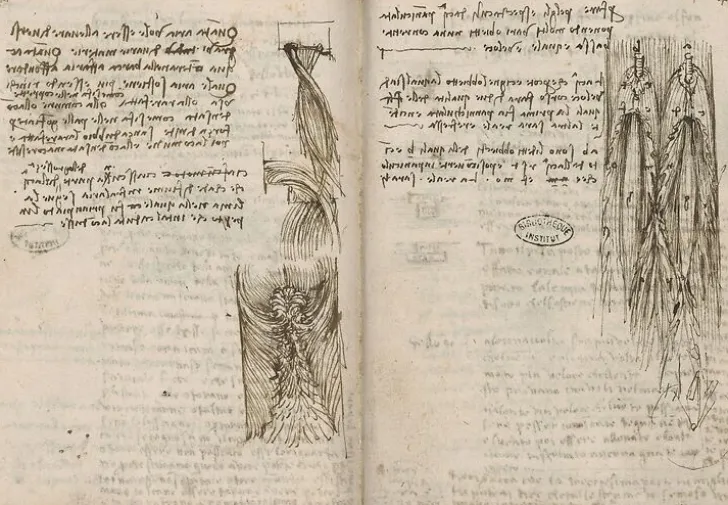 Boutiques de musées Toiles Encadrées|Toiles Sur Châssis-Turbulences provoquées par différents obstacles sur un fluide en mouvement (toiles encadrées)