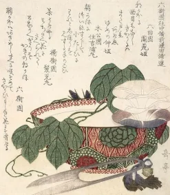 Discount Boutiques de musées Volubilis (détail) (toiles sans cadre)