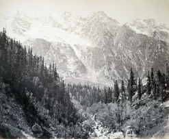 Boutiques de musées Panneaux Aluminium|Panneaux Acryliques-Wanga valley and glacier (Abies Webbiana) [Himachal Pradesh. Vallée de Wanga et glaciers], 1866 (panneaux aluminium)